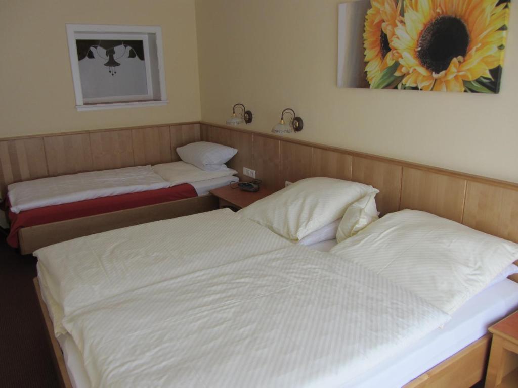 Pension Zur Alten Schmiede ツヴィーゼル 部屋 写真