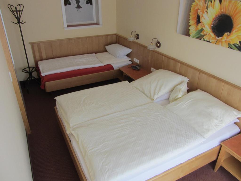 Pension Zur Alten Schmiede ツヴィーゼル 部屋 写真